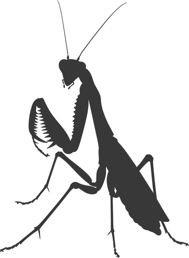 silueta mantis animal negro color solamente lleno cuerpo vector