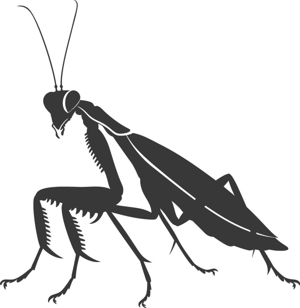 Silhouette mantis animal black color only full body vector