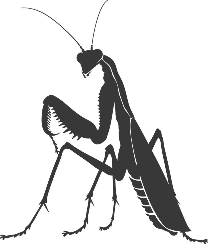 silueta mantis animal negro color solamente lleno cuerpo vector