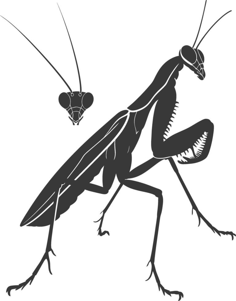 silueta mantis animal negro color solamente lleno cuerpo vector