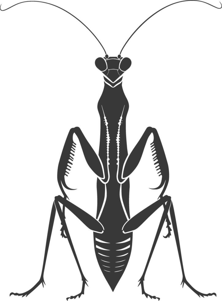 Silhouette mantis animal black color only full body vector