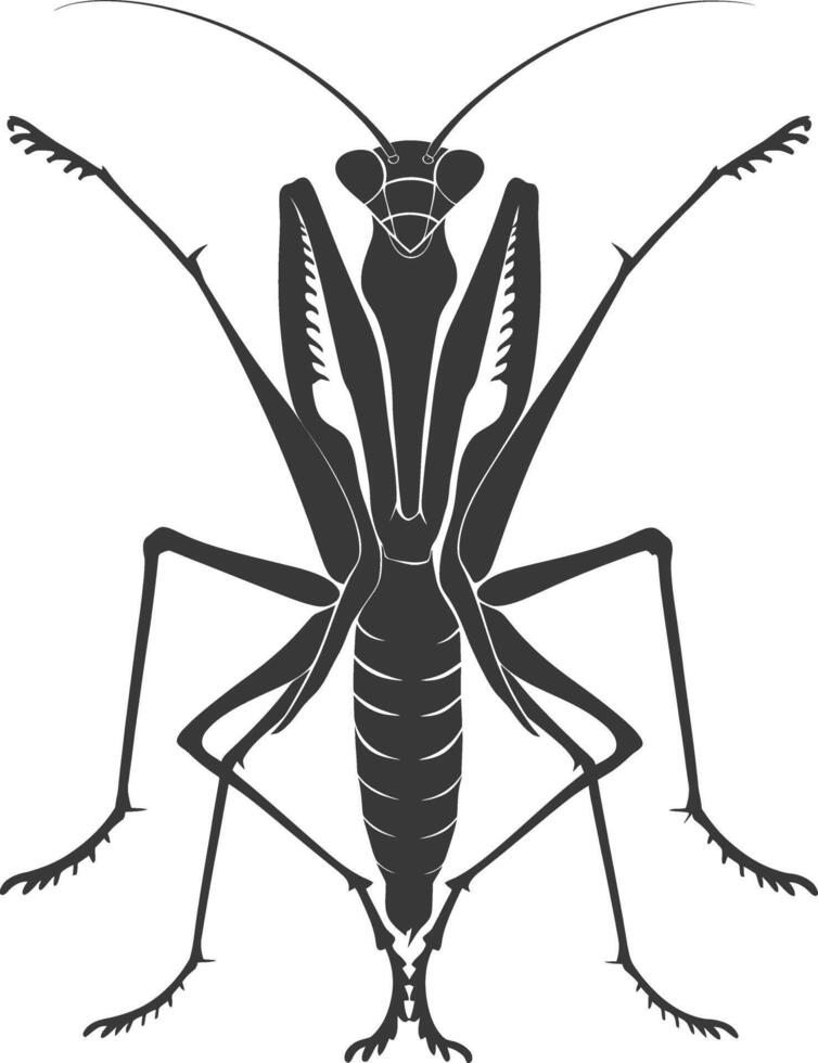 Silhouette mantis animal black color only full body vector