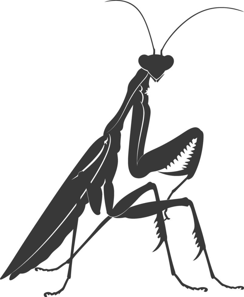 Silhouette mantis animal black color only full body vector