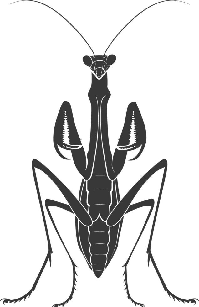 Silhouette mantis animal black color only full body vector