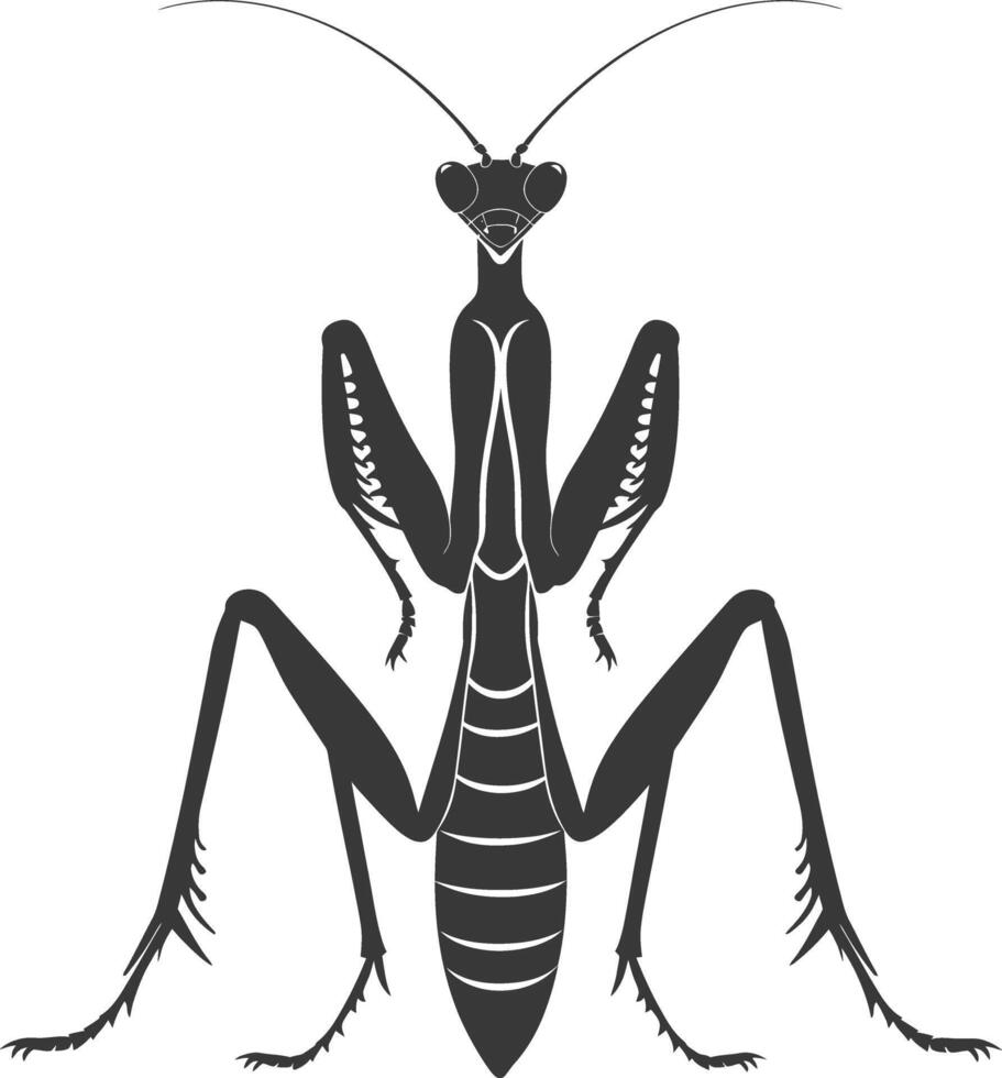 Silhouette mantis animal black color only full body vector