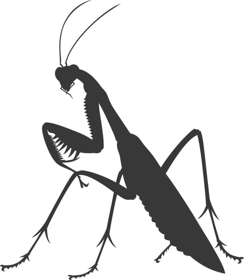 Silhouette mantis animal black color only full body vector