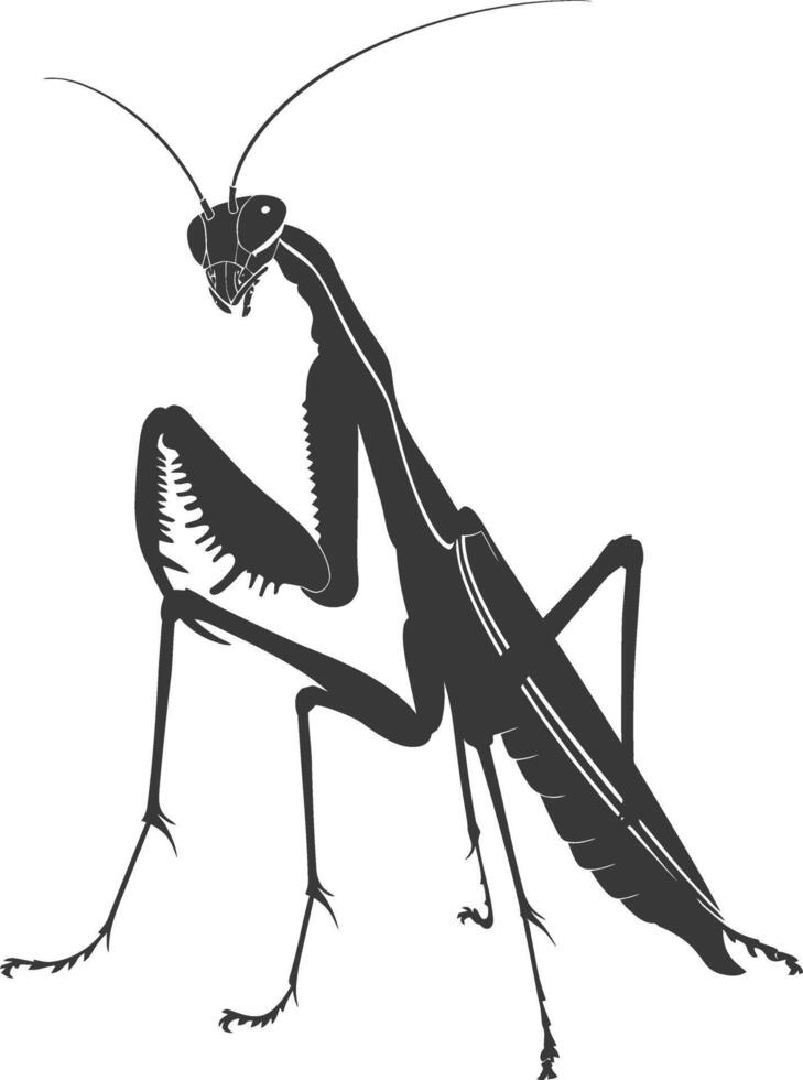 Silhouette mantis animal black color only full body vector
