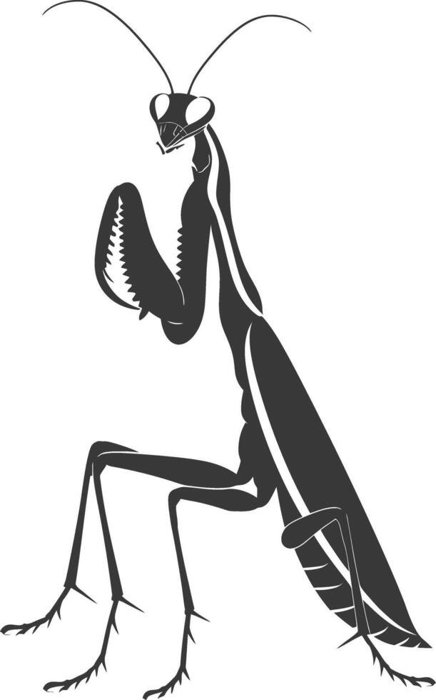 Silhouette mantis animal black color only full body vector