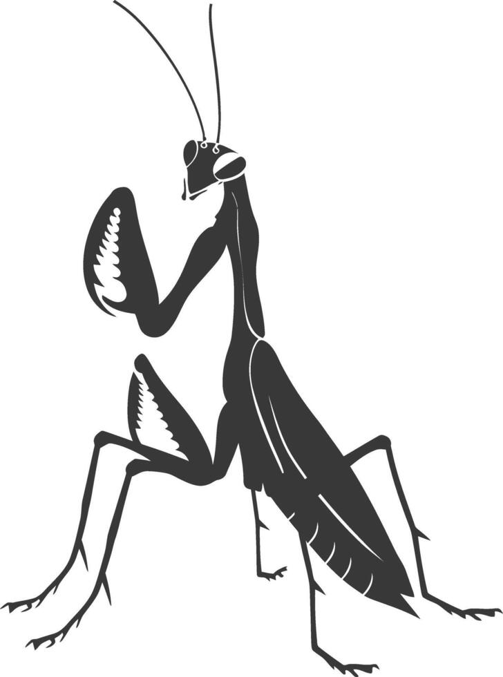 Silhouette mantis animal black color only full body vector