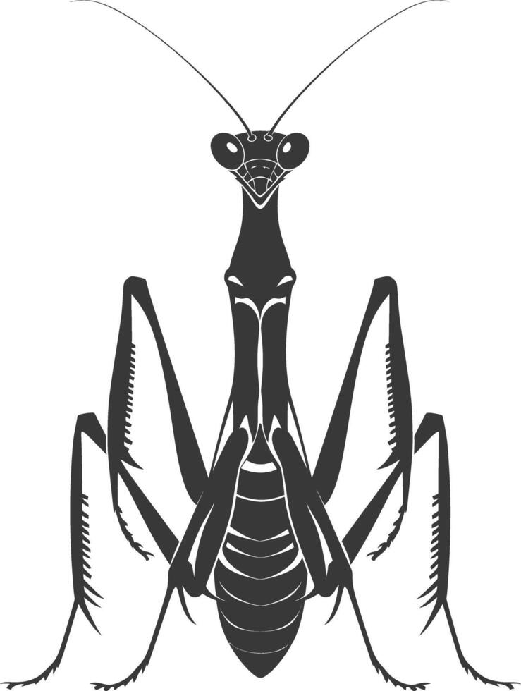 Silhouette mantis animal black color only full body vector