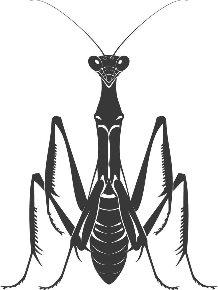 Silhouette mantis animal black color only full body vector