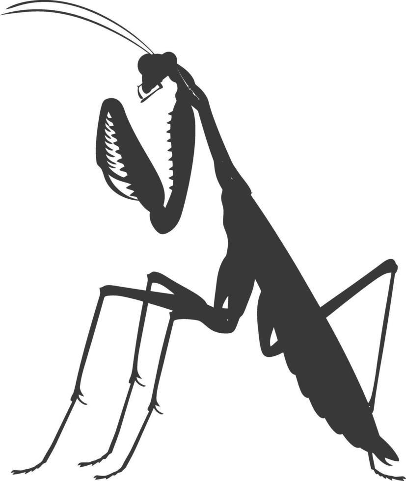 silueta mantis animal negro color solamente lleno cuerpo vector