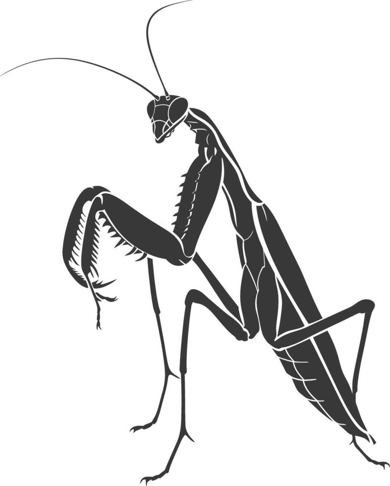 Silhouette mantis animal black color only full body vector