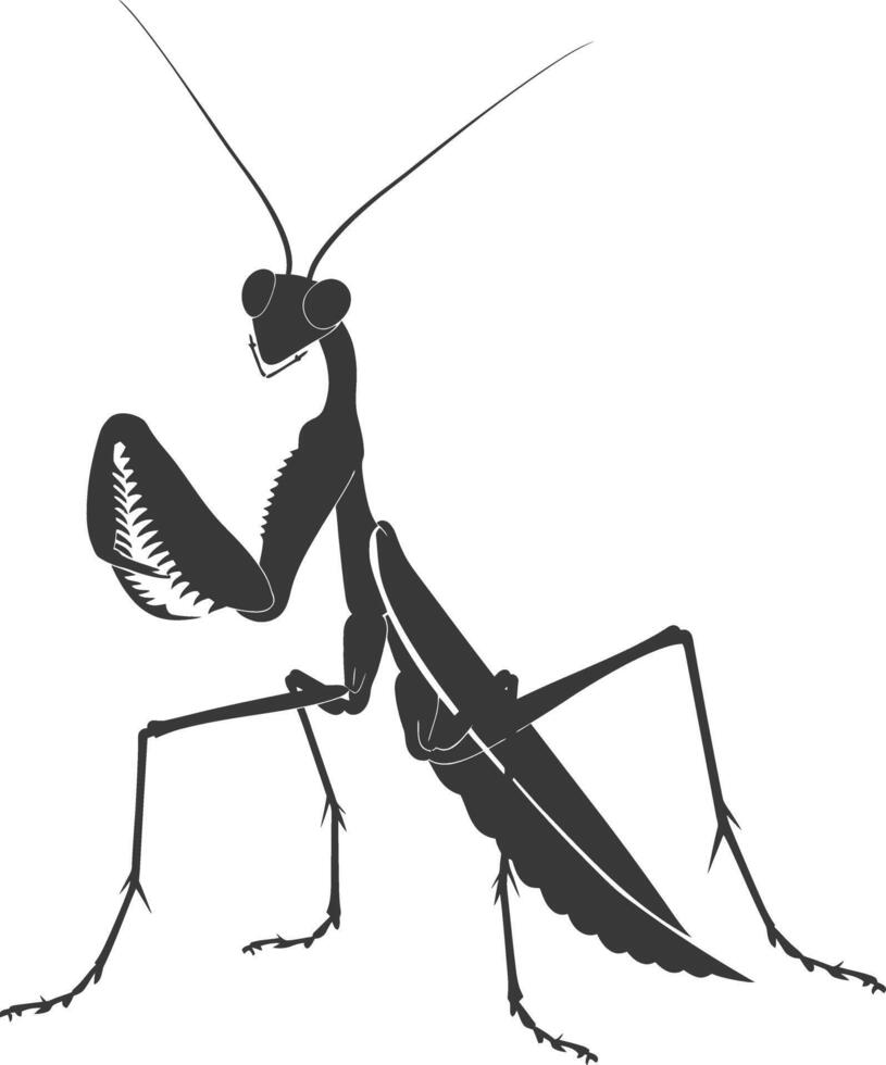 Silhouette mantis animal black color only full body vector