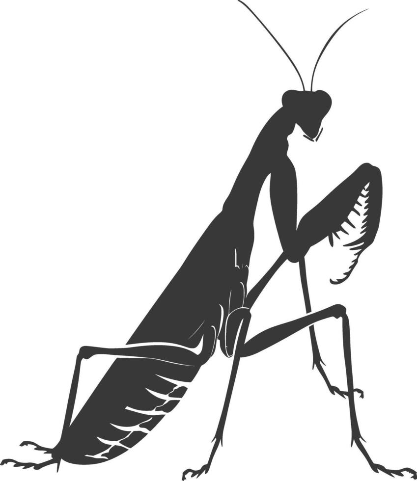 Silhouette mantis animal black color only full body vector