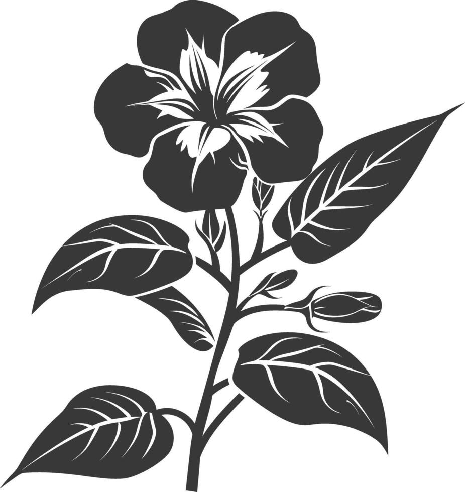 Silhouette periwinkle flower black color only vector