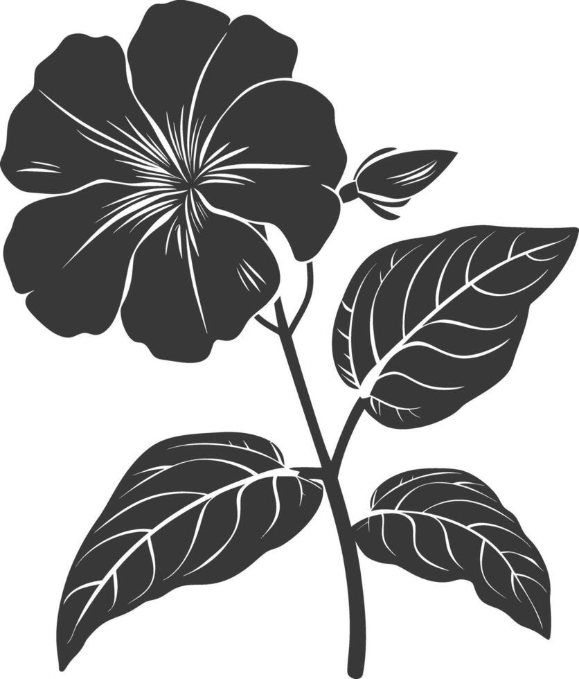 Silhouette periwinkle flower black color only vector