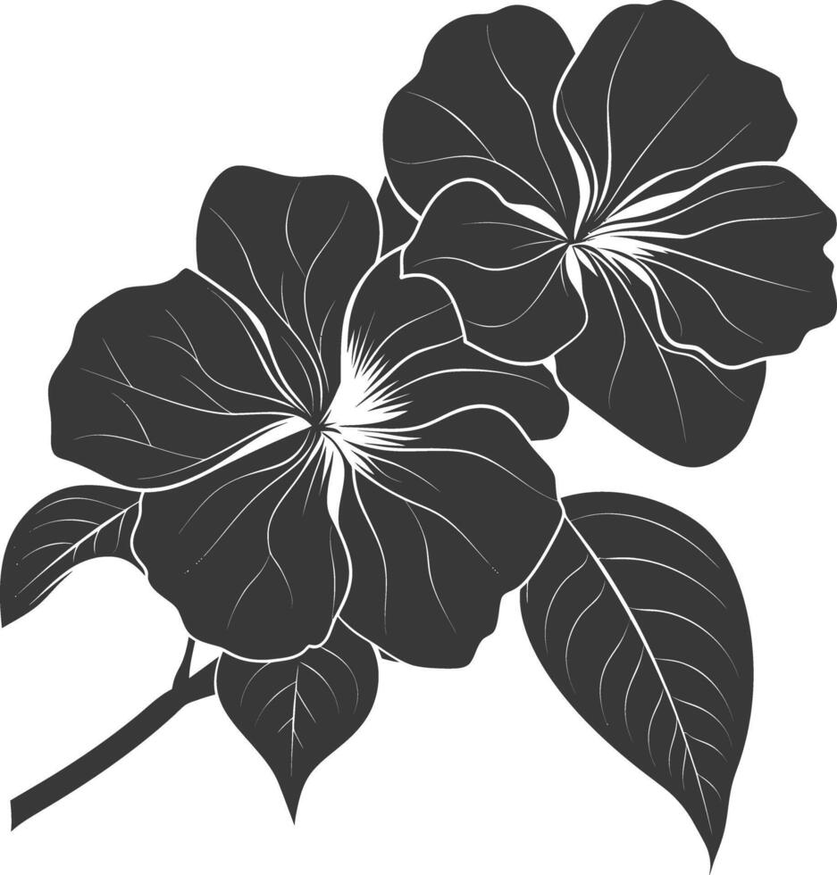 Silhouette periwinkle flower black color only vector