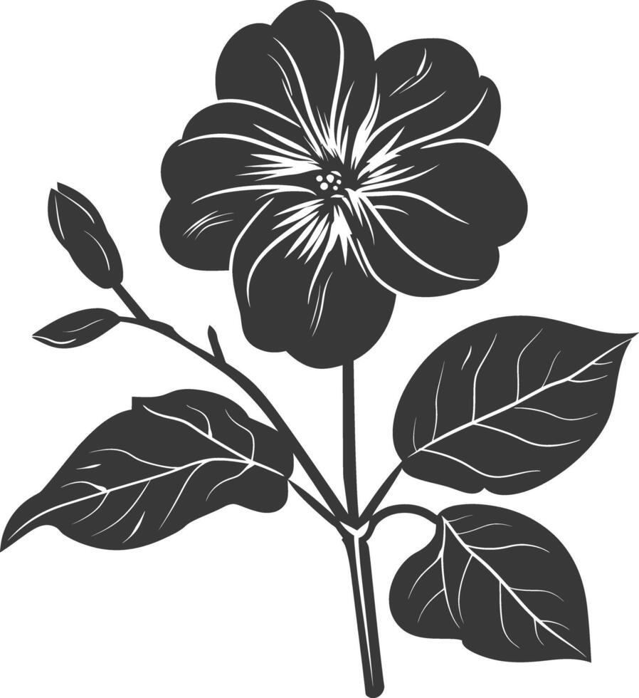 Silhouette periwinkle flower black color only vector