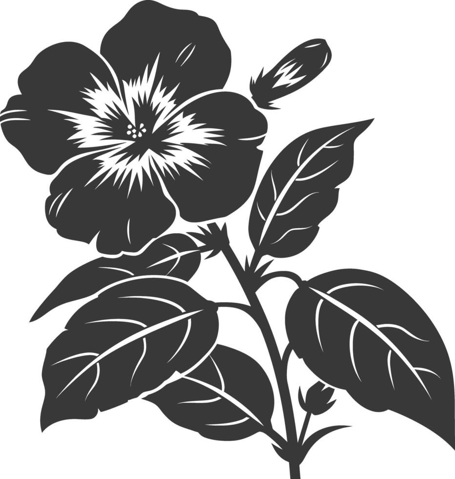 silueta bígaro flor negro color solamente vector