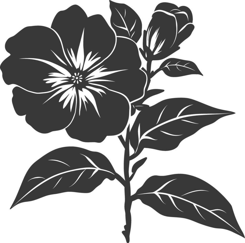 Silhouette periwinkle flower black color only vector