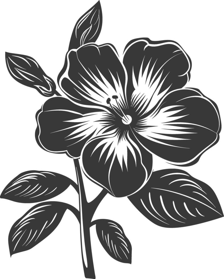 Silhouette periwinkle flower black color only vector