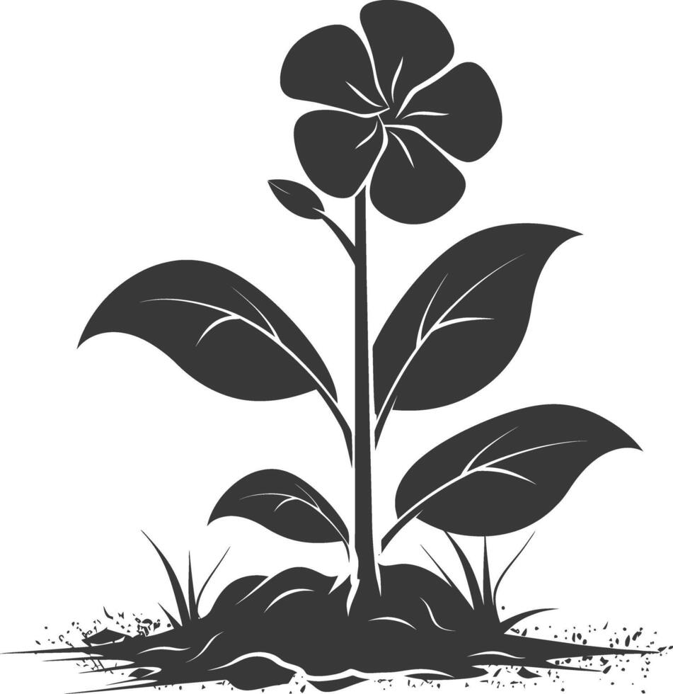 Silhouette periwinkle flower in the ground black color only vector