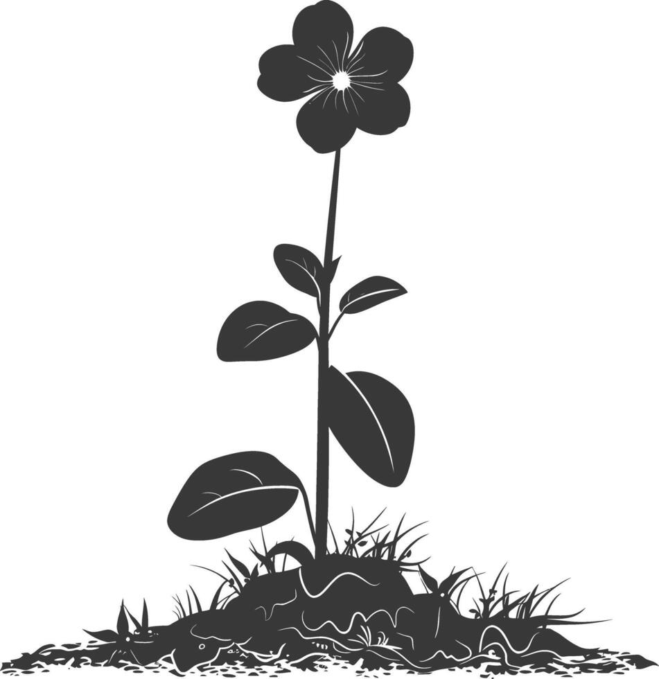 Silhouette periwinkle flower in the ground black color only vector