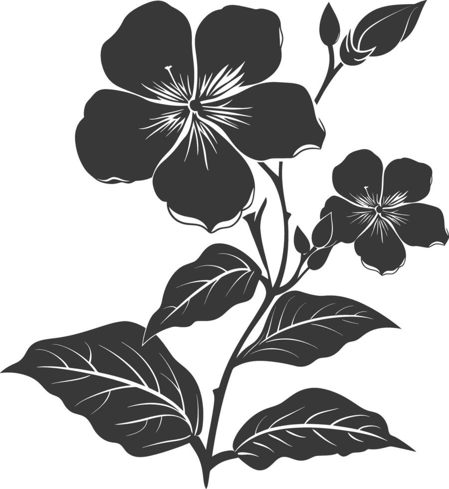 Silhouette periwinkle flower black color only vector