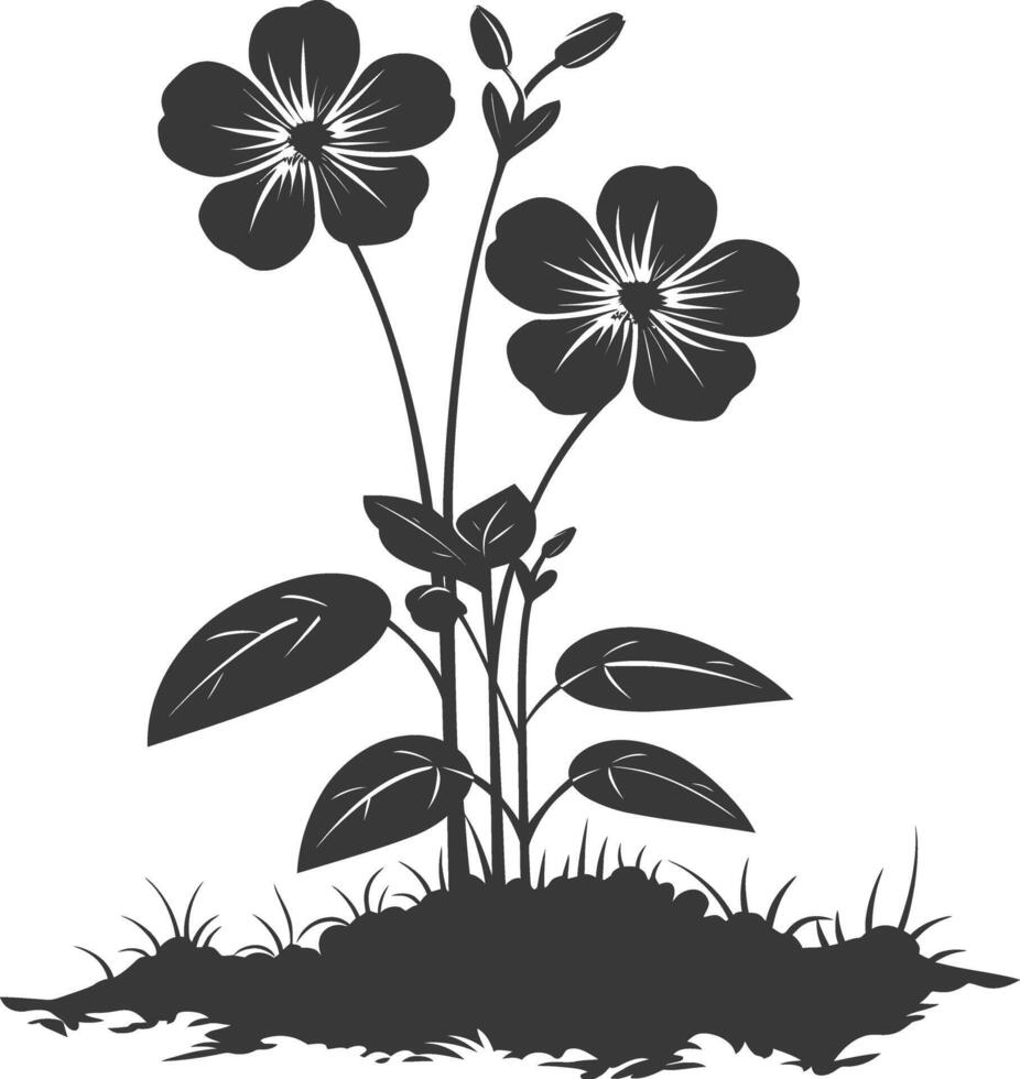silueta bígaro flor en el suelo negro color solamente vector