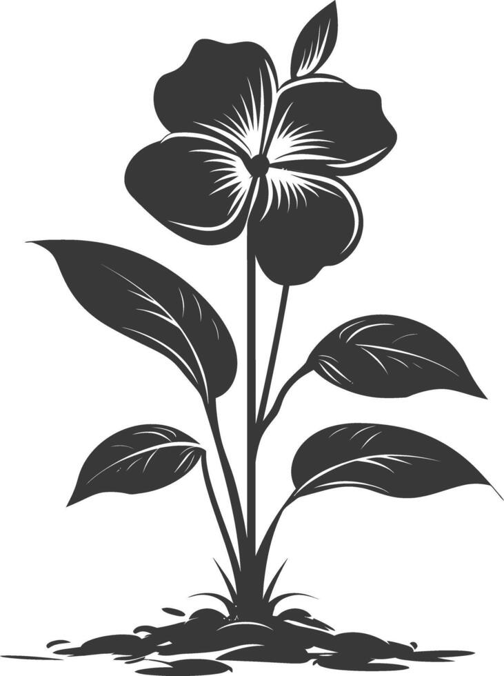 Silhouette periwinkle flower in the ground black color only vector