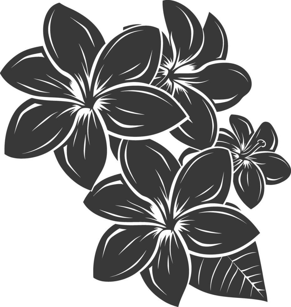 Silhouette plumeria flower black color only vector