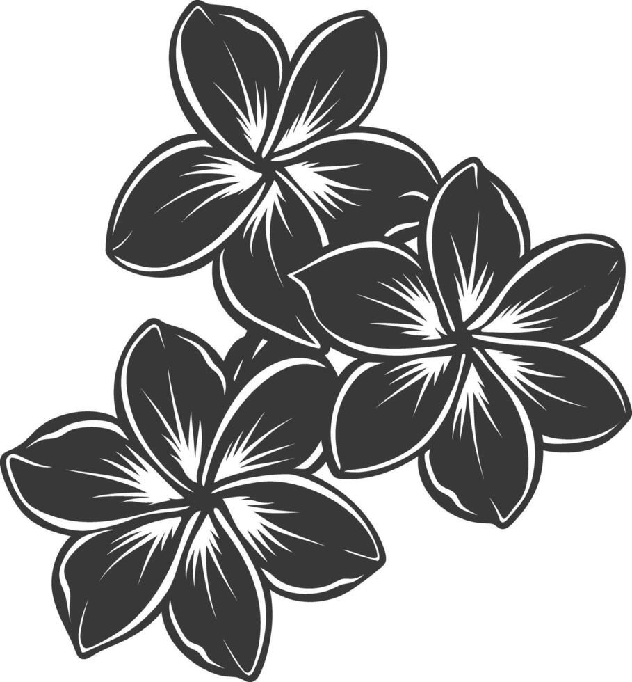 Silhouette plumeria flower black color only vector