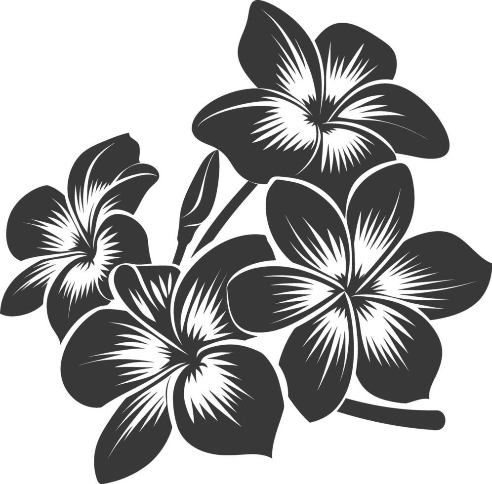 Silhouette plumeria flower black color only vector