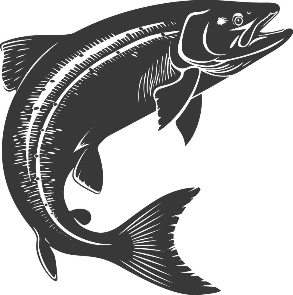 Silhouette salmon fish animal black color only full body vector