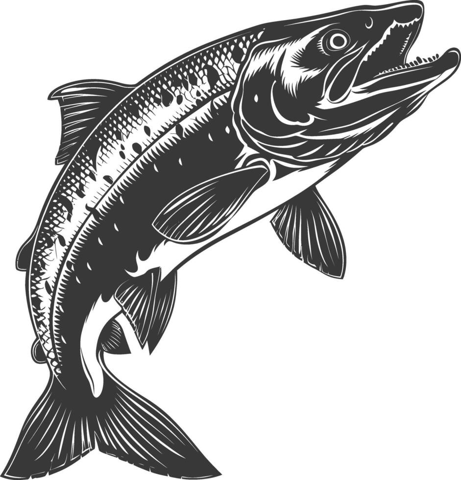 Silhouette salmon fish animal black color only full body vector