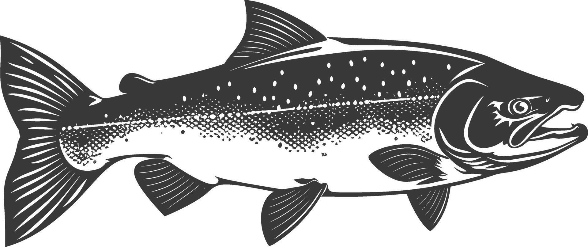 Silhouette salmon fish animal black color only full body vector