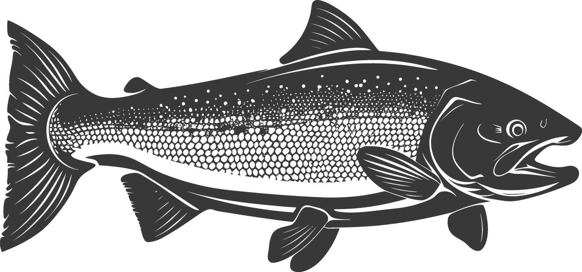 silueta salmón pescado animal negro color solamente lleno cuerpo vector