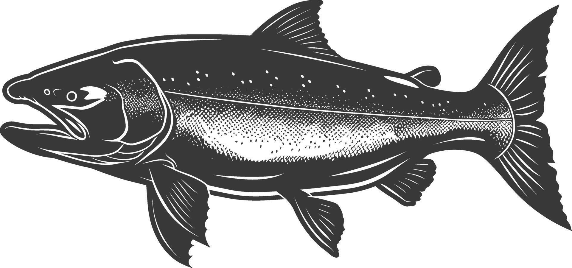 Silhouette salmon fish animal black color only full body vector