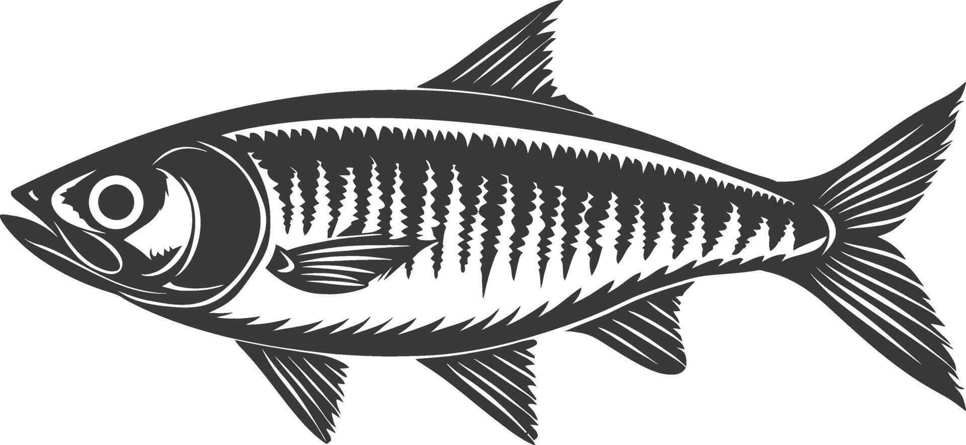 Silhouette sardine fish animal black color only full body vector