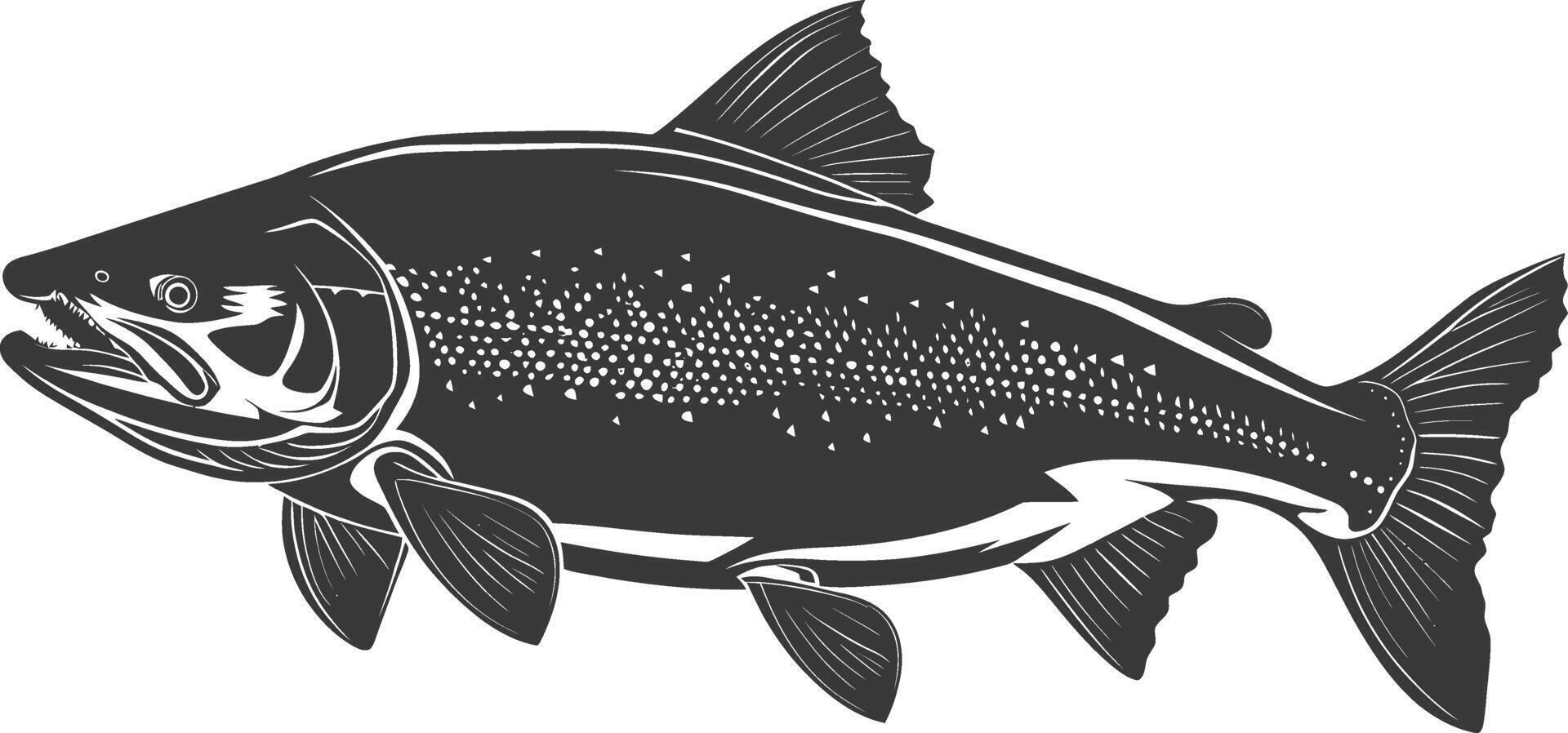 Silhouette salmon fish animal black color only full body vector