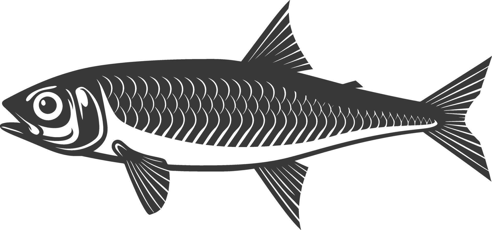 Silhouette sardine fish animal black color only full body vector