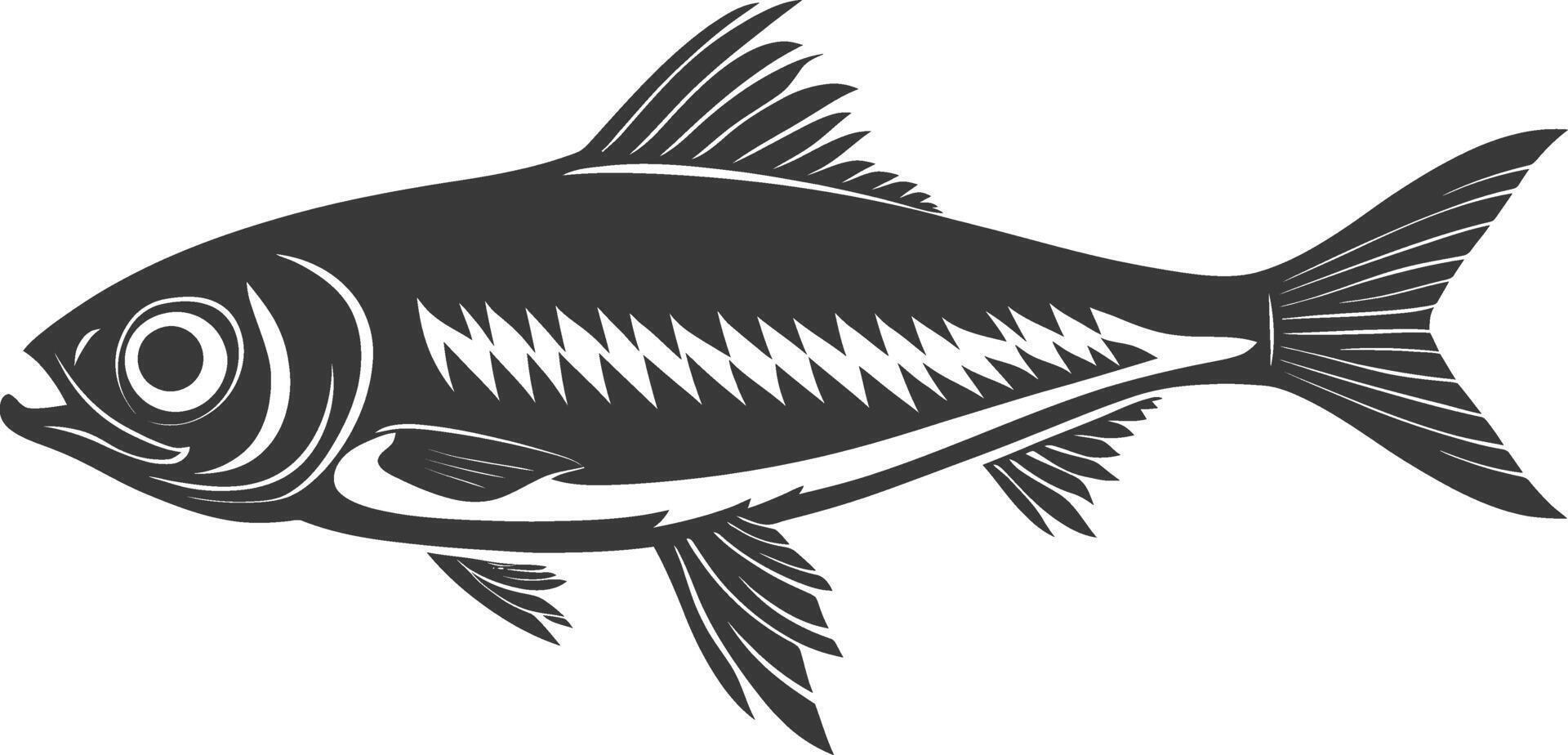 Silhouette sardine fish animal black color only full body vector