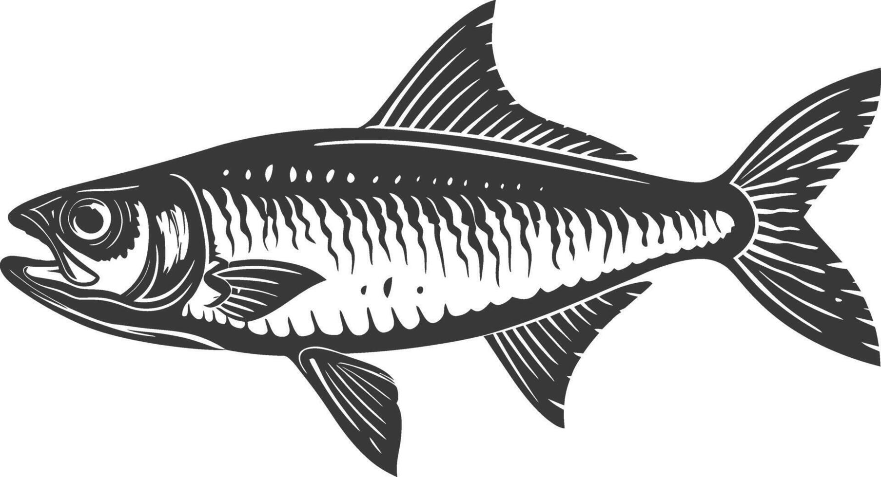 Silhouette sardine fish animal black color only full body vector