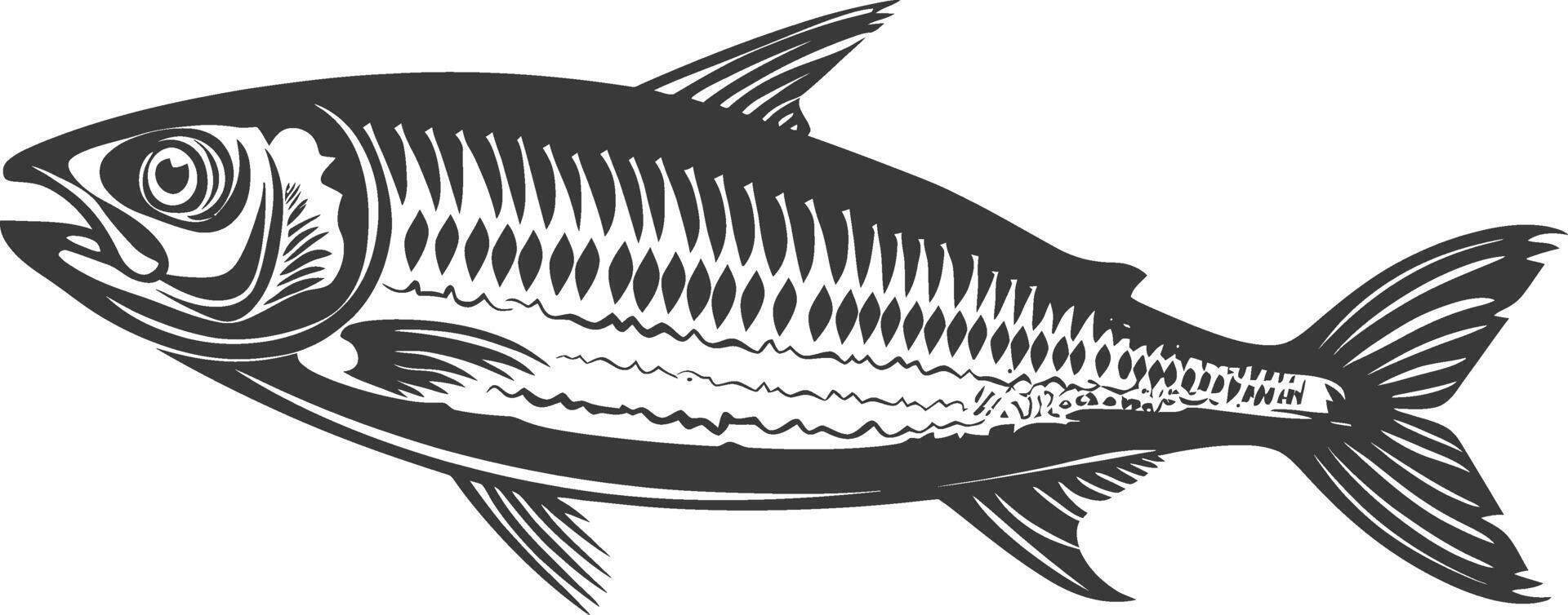 Silhouette sardine fish animal black color only full body vector