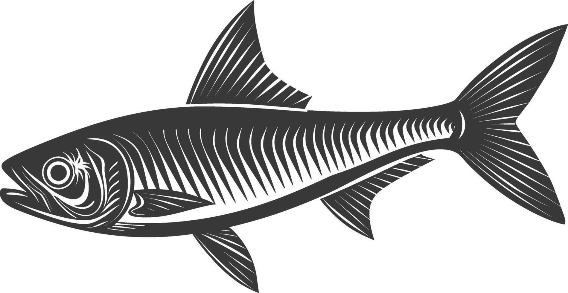 Silhouette sardine fish animal black color only full body vector