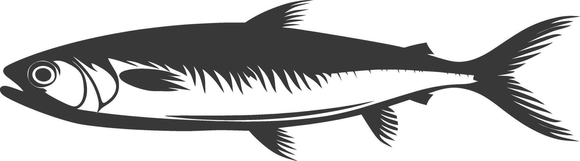 Silhouette sardine fish animal black color only full body vector