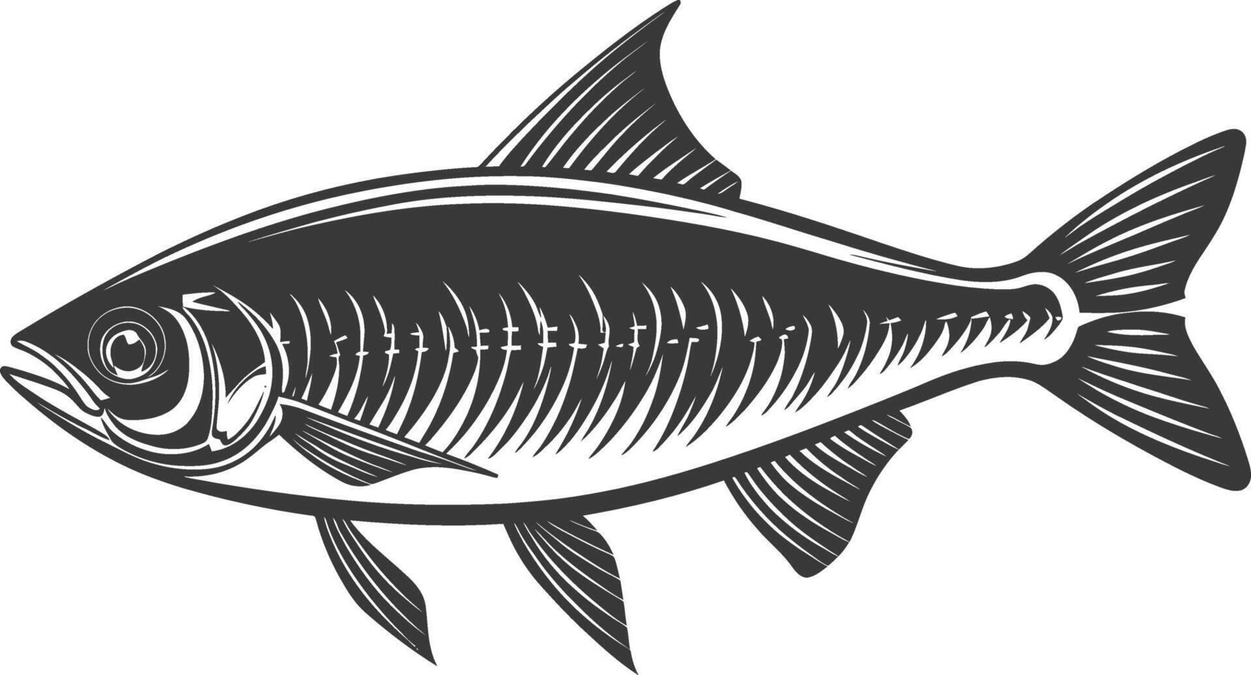 Silhouette sardine fish animal black color only full body vector