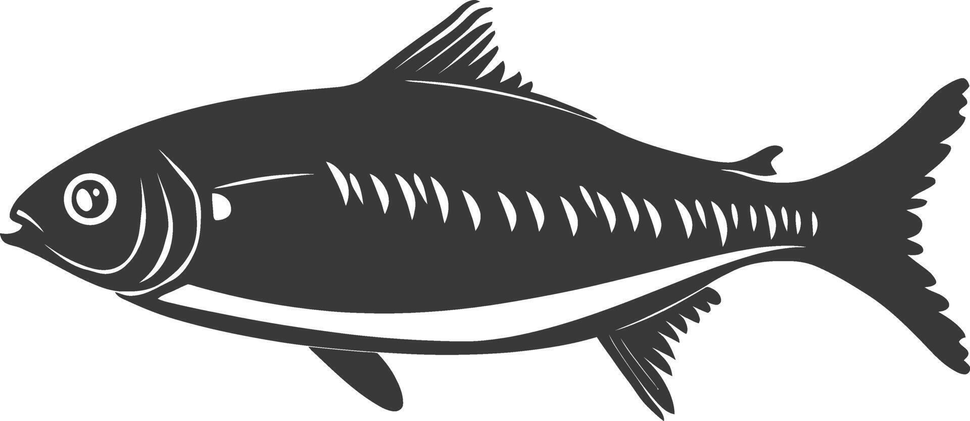 Silhouette sardine fish animal black color only full body vector