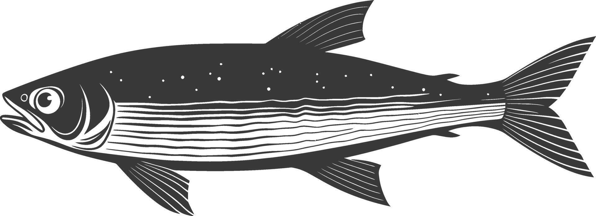 Silhouette sardine fish animal black color only full body vector